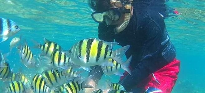 Spot Snorkeling Wisata Pulau Pari